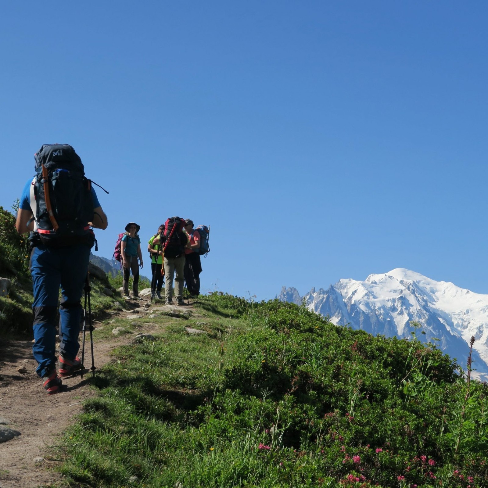 Imagen de Alta Ruta Chamonix-Zermatt + Breithorn (4.164m)