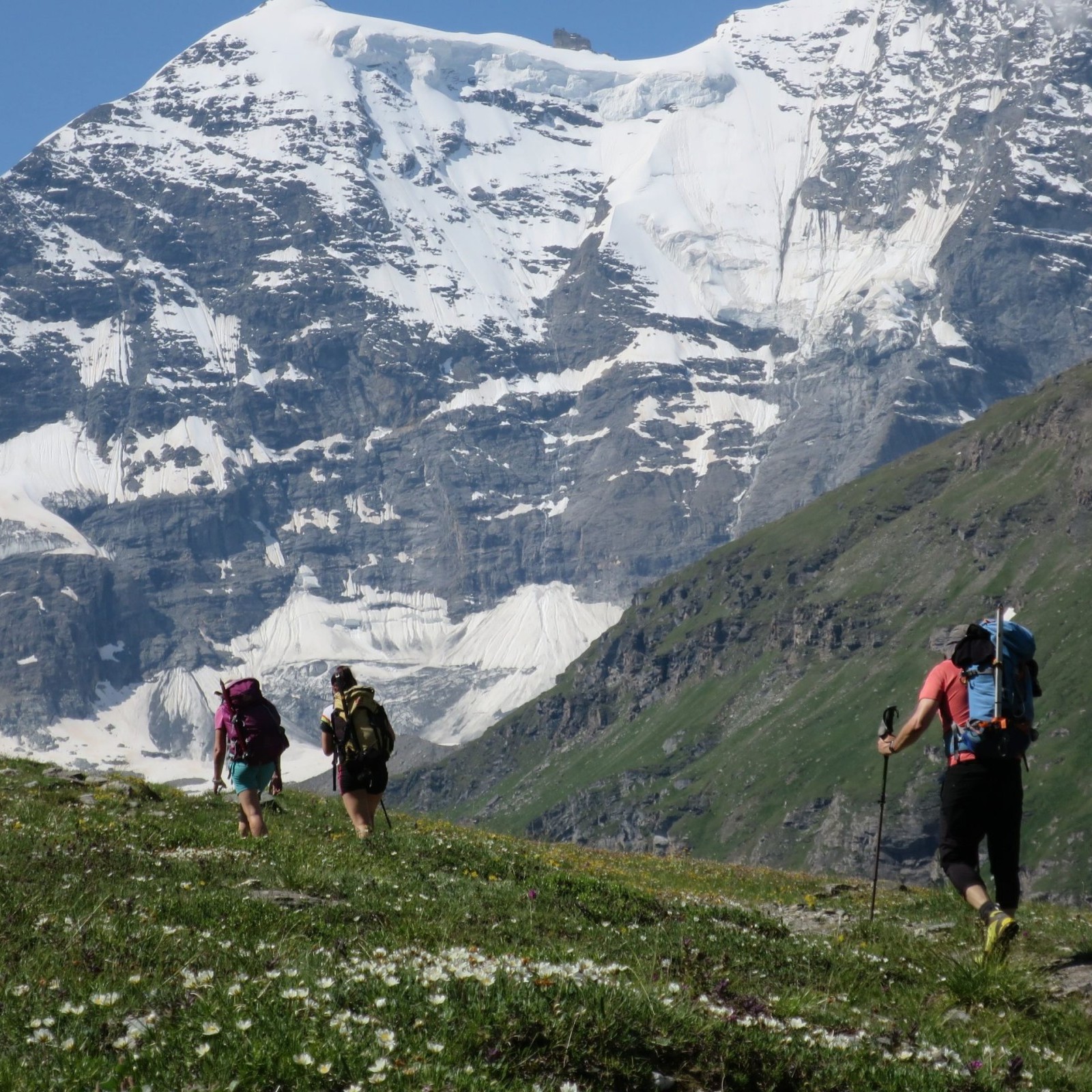 Imagen de Alta Ruta Chamonix-Zermatt + Breithorn (4.164m)